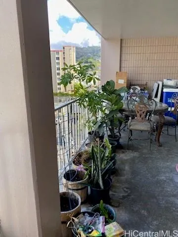 a room with furniture and a potted plant