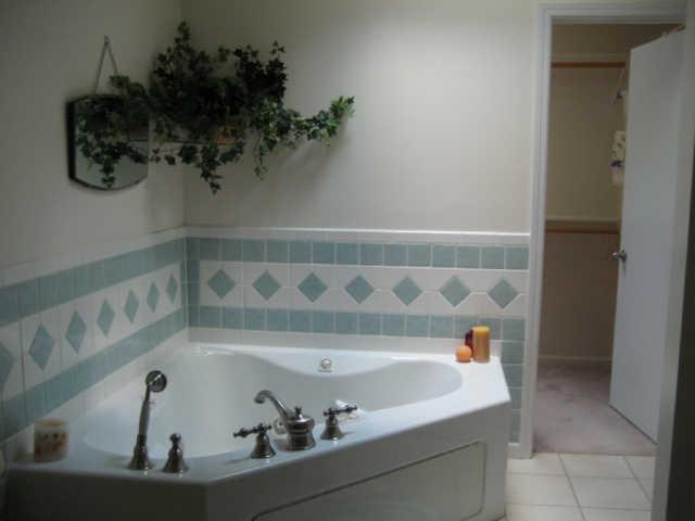 365 Double Branch Road Dickson, TN 37055 - Photo 15 of 20 a bath tub sitting in a bathroom