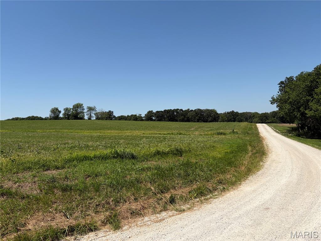 96.59 Acres Rock Road Bellflower, MO 63333 - Photo 21 of 21