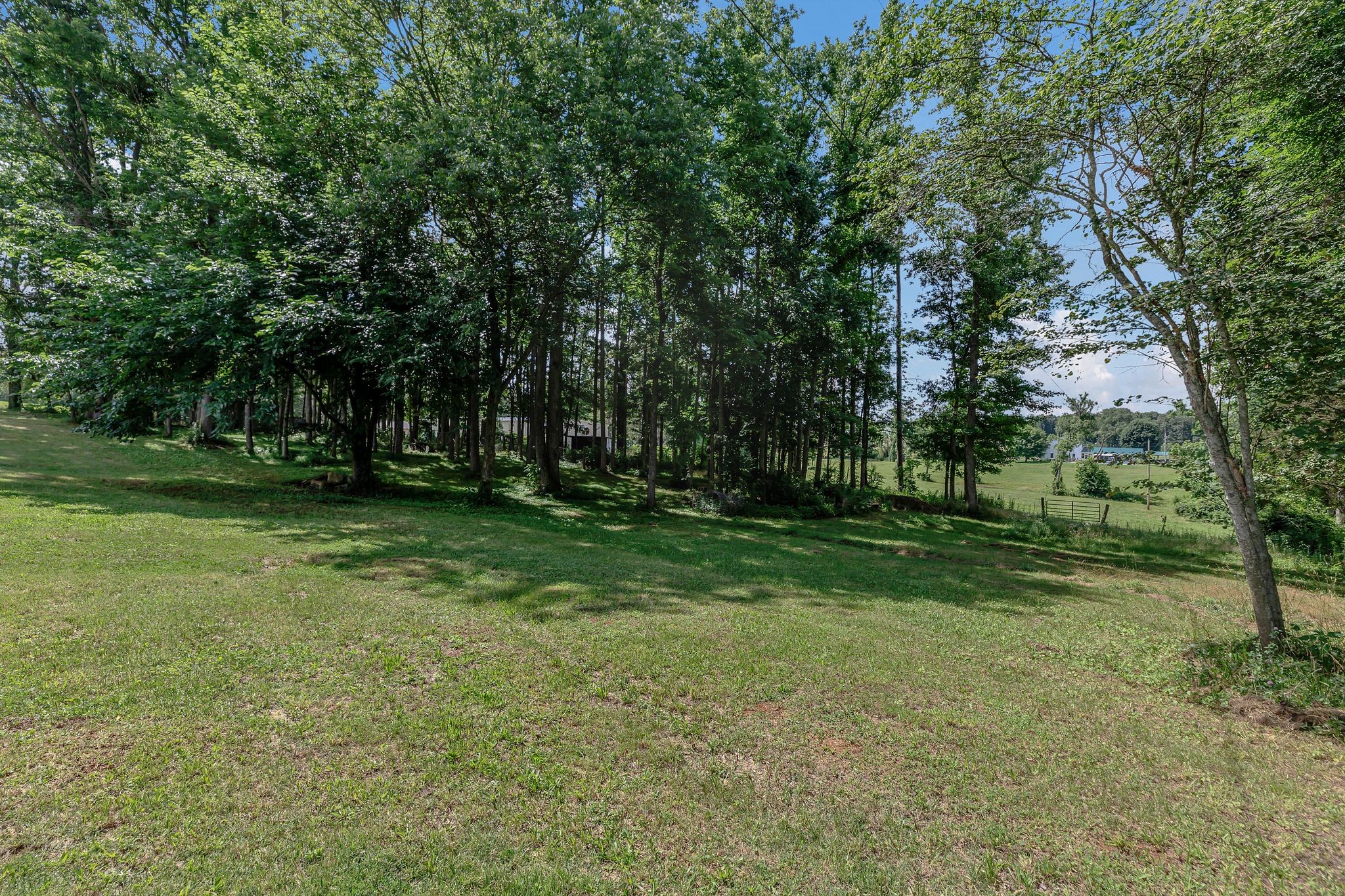 5347 Shady Grove Road Morrison, TN 37357 - Photo 47 of 60