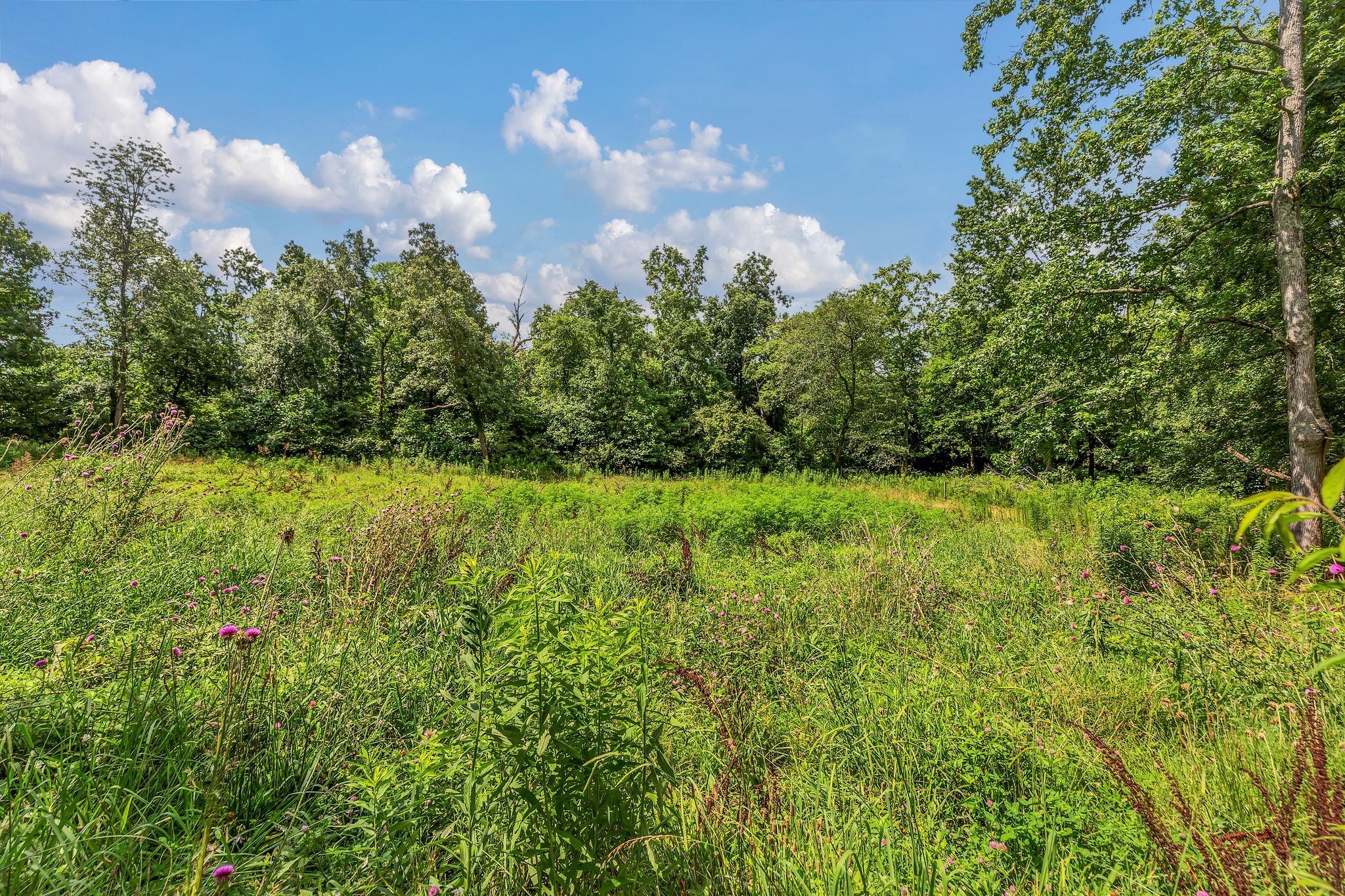 5347 Shady Grove Road Morrison, TN 37357 - Photo 55 of 60