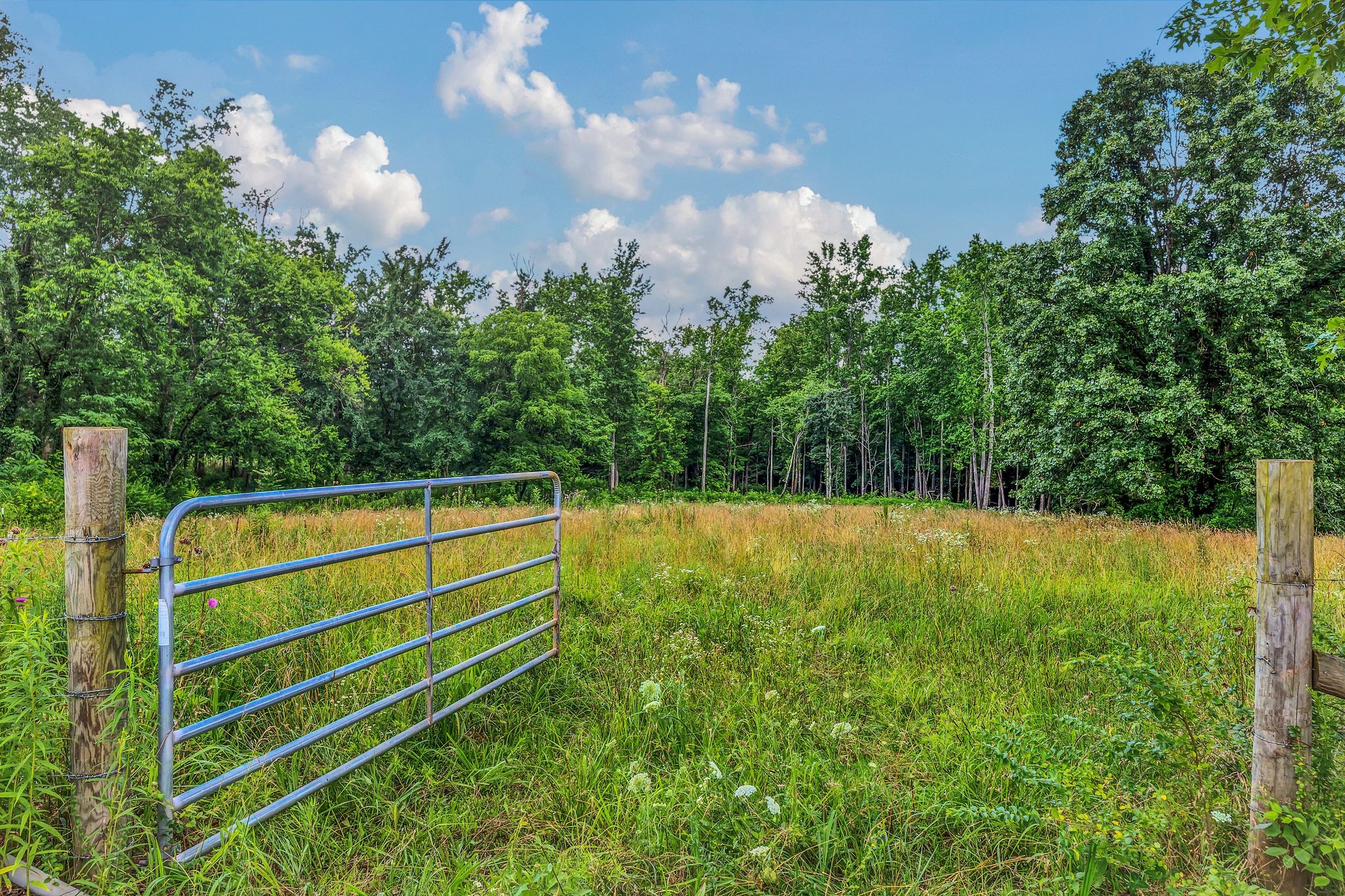 5347 Shady Grove Road Morrison, TN 37357 - Photo 58 of 60
