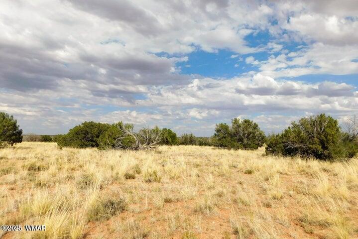 Lot 438 Chevelon Canyon Ranch Heber, AZ 85928 - Photo 2 of 4 2.jpg
