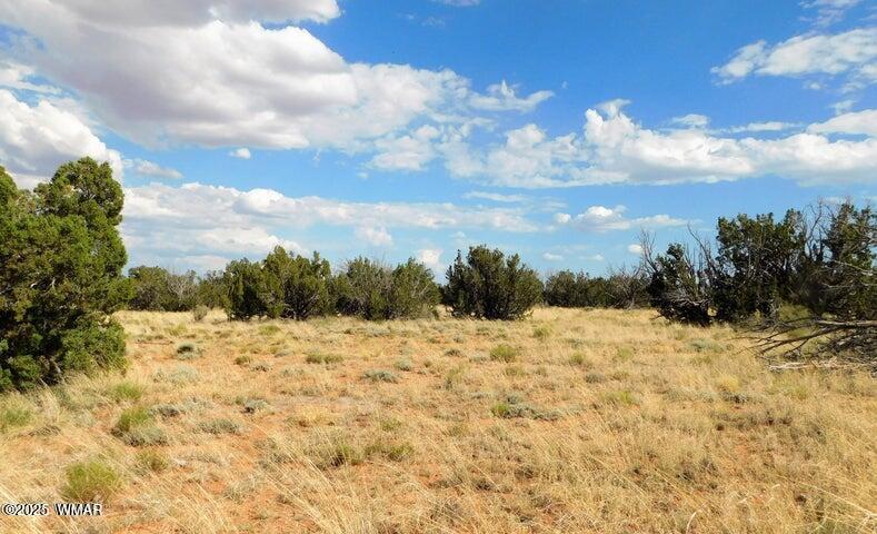 Lot 438 Chevelon Canyon Ranch Heber, AZ 85928 - Photo 4 of 4 4.jpg
