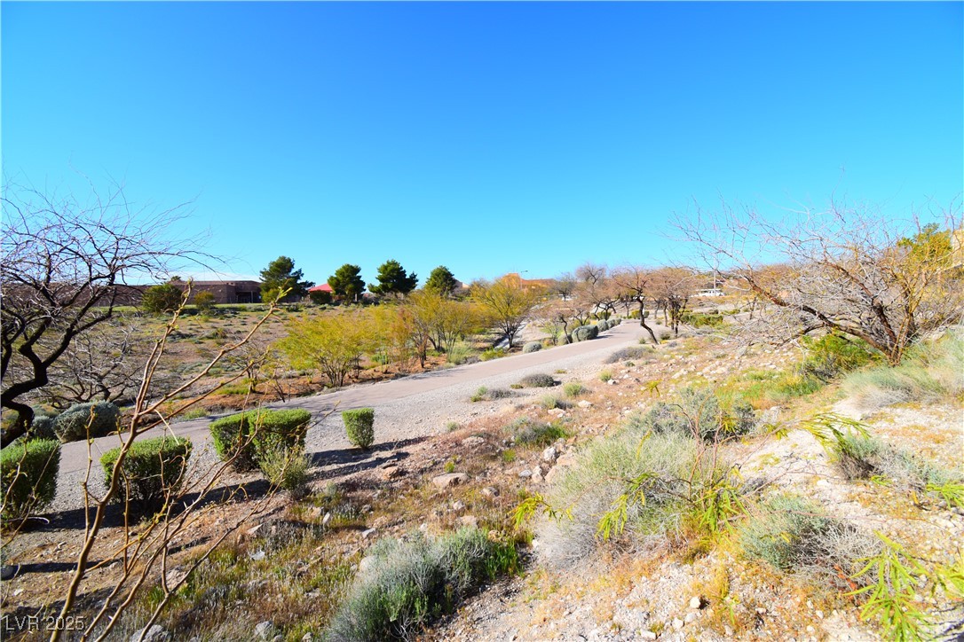 1901 Villa Palms Court, Unit 101 Las Vegas, NV 89128 - Photo 3 of 19 View of yard