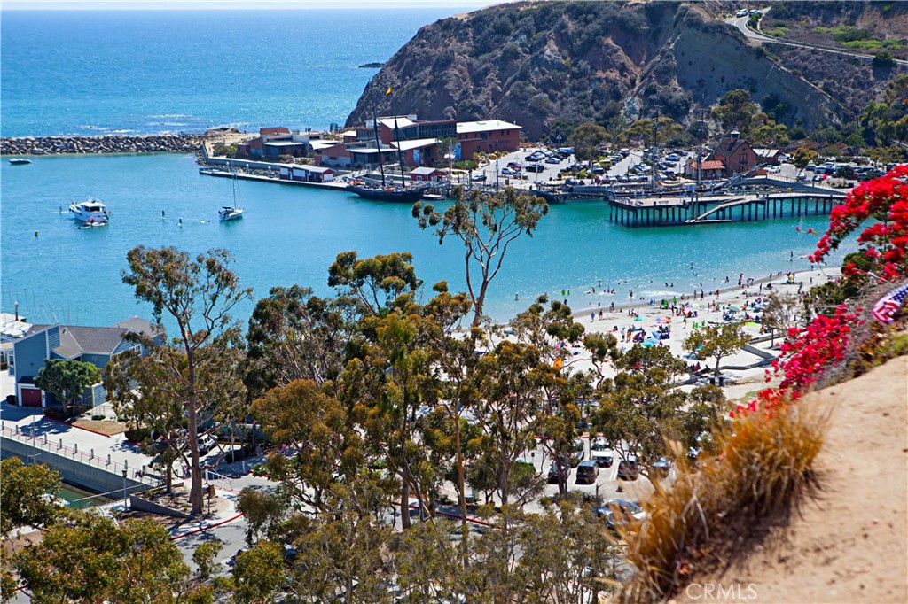 33682 Halyard Drive Dana Point, CA 92629 - Photo 59 of 69