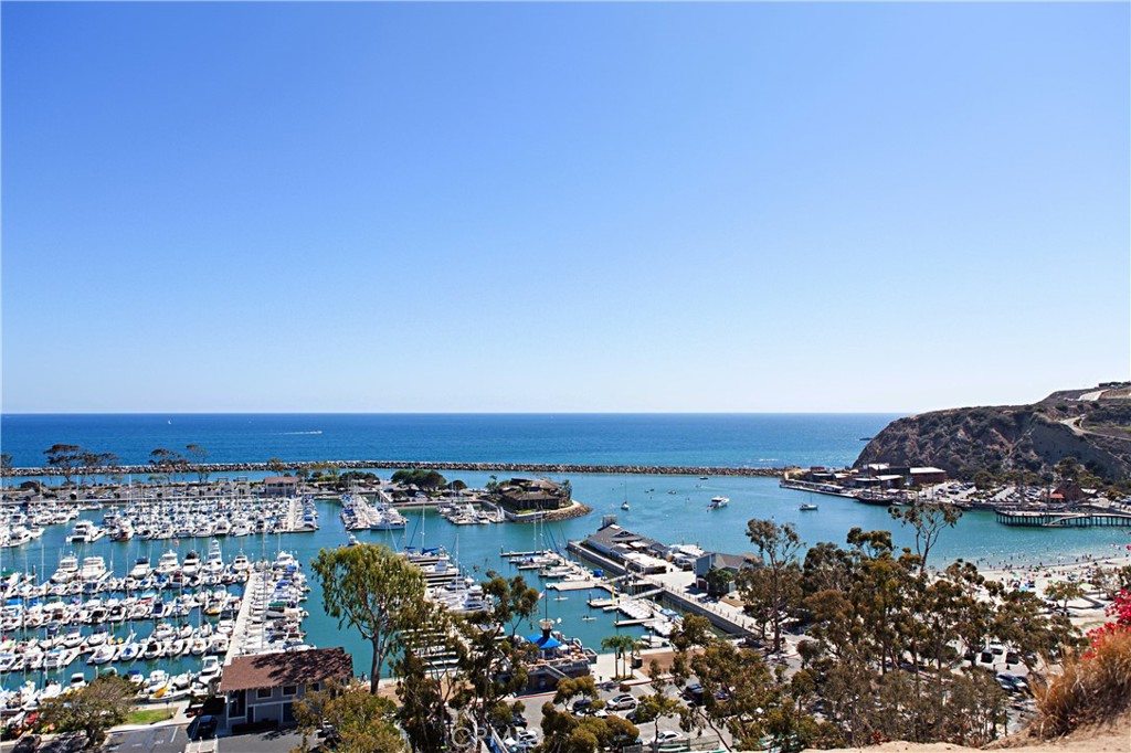 33682 Halyard Drive Dana Point, CA 92629 - Photo 63 of 69