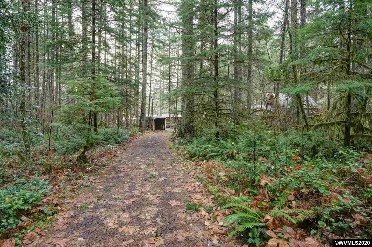 35146 North Fork Road Lyons, OR 97358 - Photo 26 of 33