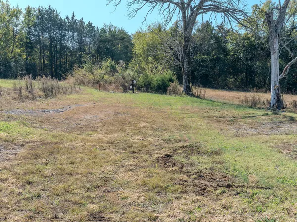 a view of a yard with a tree