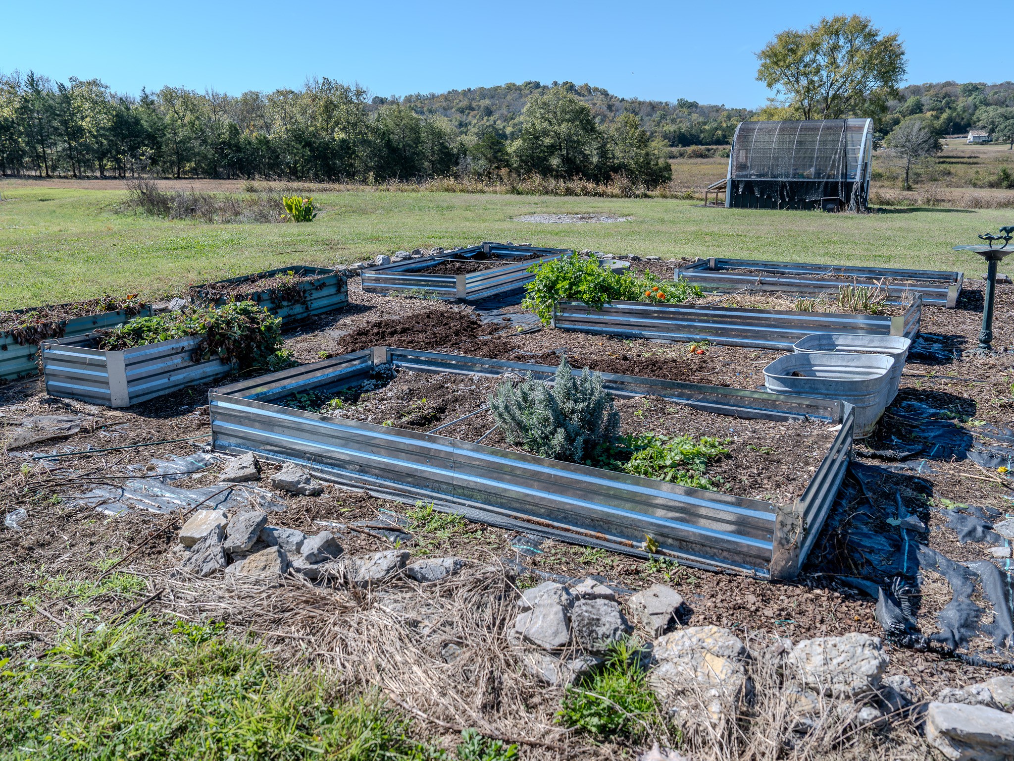 538 Mt Vernon Road Eagleville, TN 37060 - Photo 17 of 34 a view of a backyard with wooden fence