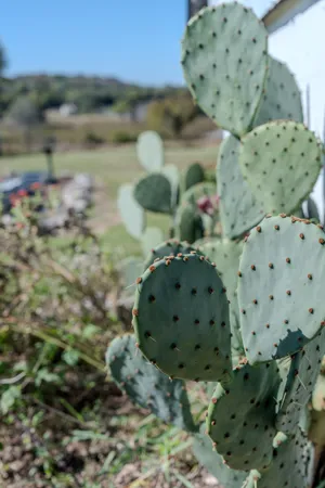 a view of a wooden door