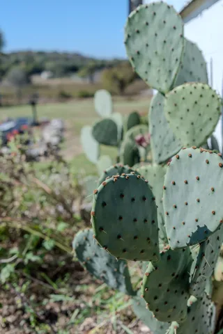 a view of a wooden door