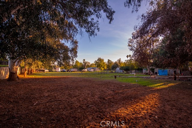 6701 Gaylord Street Riverside, CA 92505 - Photo 13 of 25 a view of dirt yard