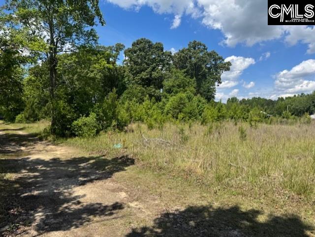 1536 Congaree Road Hopkins, SC 29061 - Photo 2 of 7 a view of a street with a yard