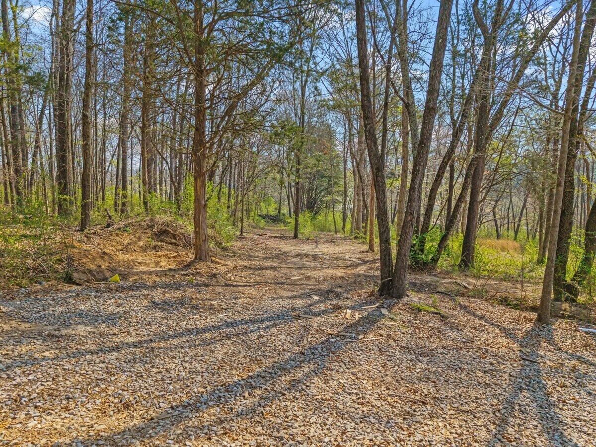 196 Southside Road Sweetwater, TN 37874 - Photo 5 of 48 .