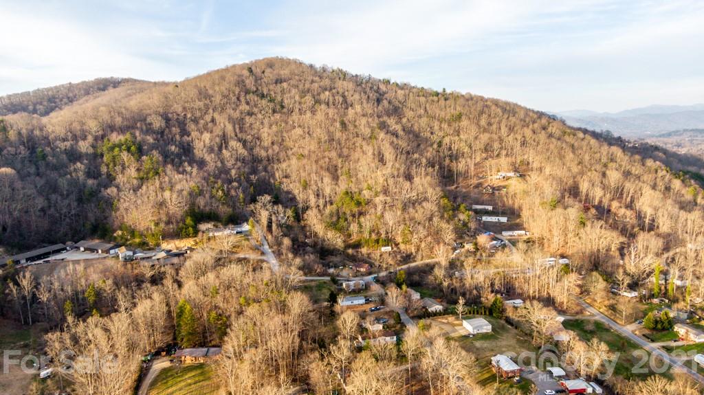 67 Mountain View Road Asheville, NC 28806 - Photo 4 of 33 Gallery Image 4