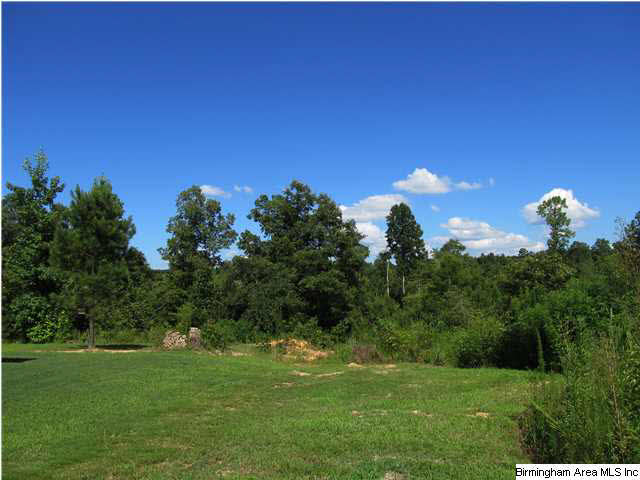3600 Sprayberry Road Pell City, AL 35125 - Photo 31 of 32