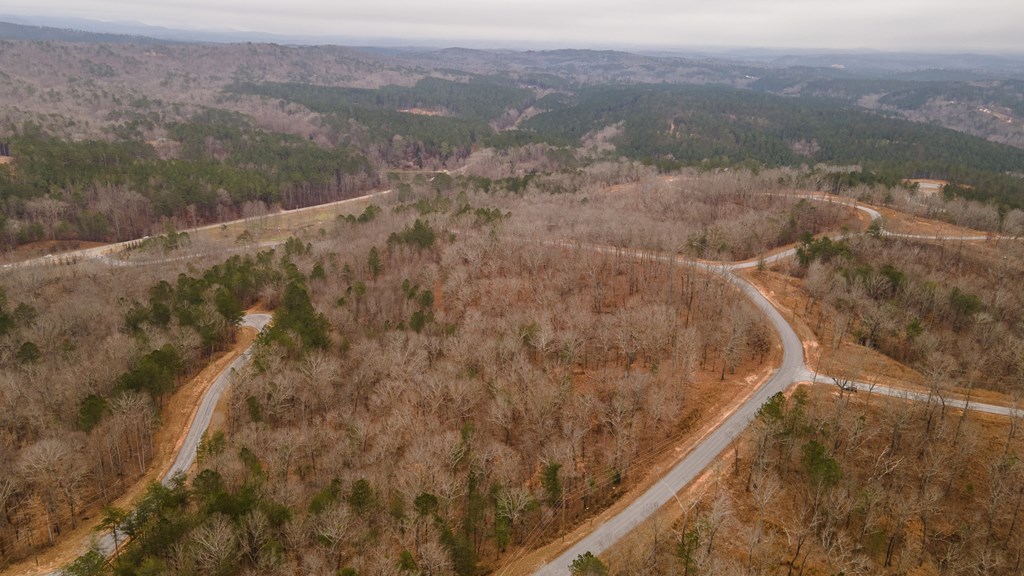 Lot 5 Blalock Mountain Road Talking Rock, GA 30175 - Photo 13 of 22