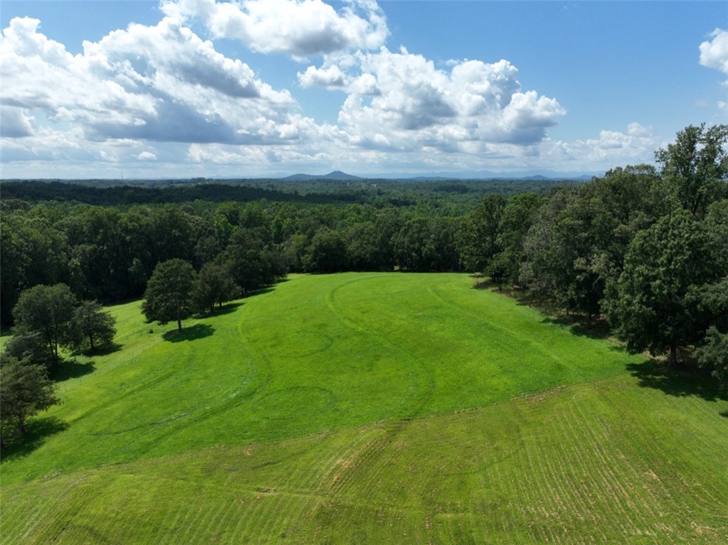 0 North McAllister Road Liberty, SC 29657 - Photo 3 of 16 Gallery Image 3