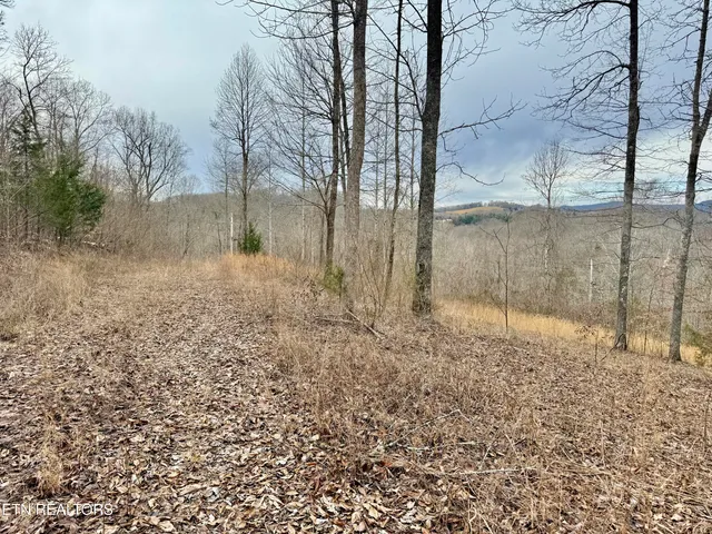 $29,900 | Harness Lane, Speedwell, TN 37870