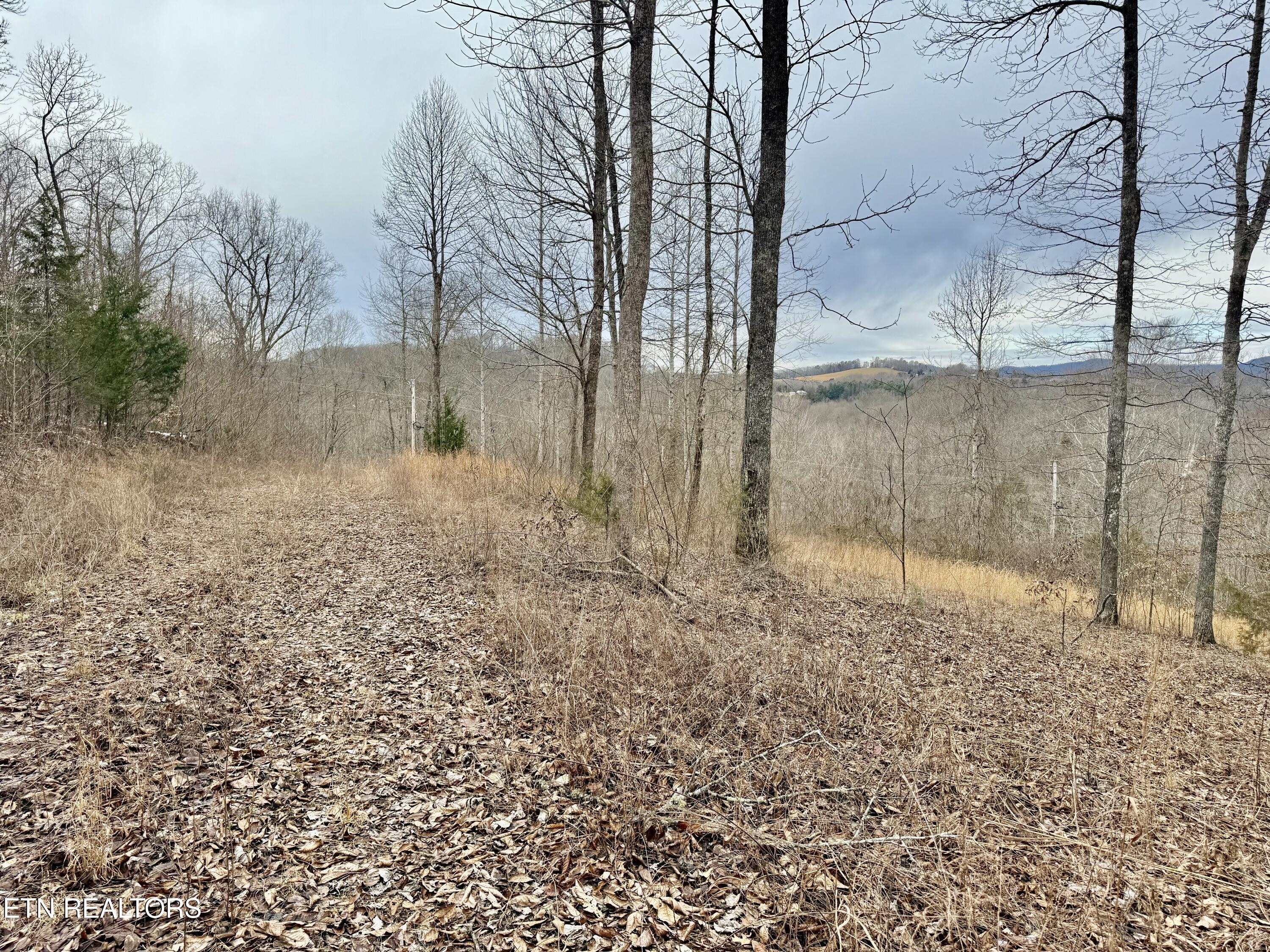 Harness Lane Speedwell, TN 37870 - Photo 13 of 15 IMG_3271