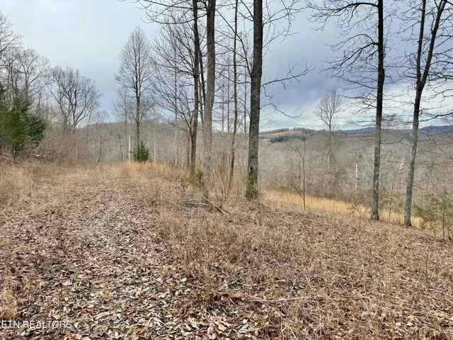 $29,900 | Harness Lane, Speedwell, TN 37870