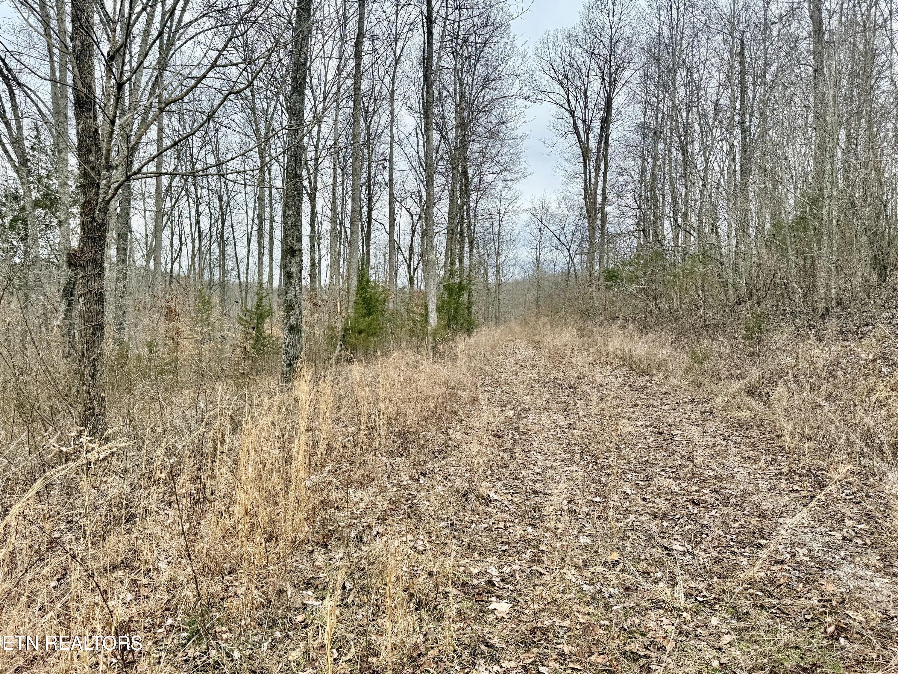 Harness Lane Speedwell, TN 37870 - Photo 2 of 15 IMG_3267