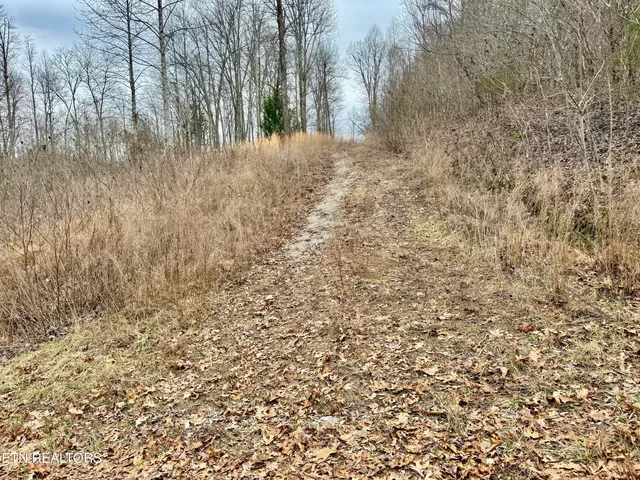 $29,900 | Harness Lane, Speedwell, TN 37870