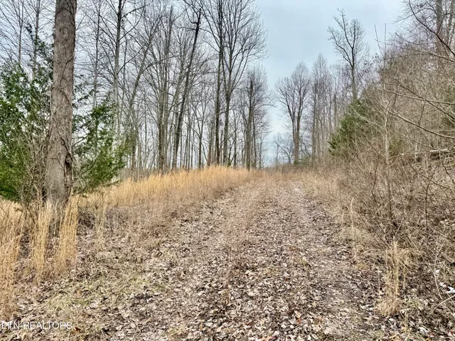 $29,900 | Harness Lane, Speedwell, TN 37870