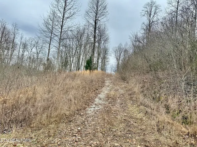 $29,900 | Harness Lane, Speedwell, TN 37870