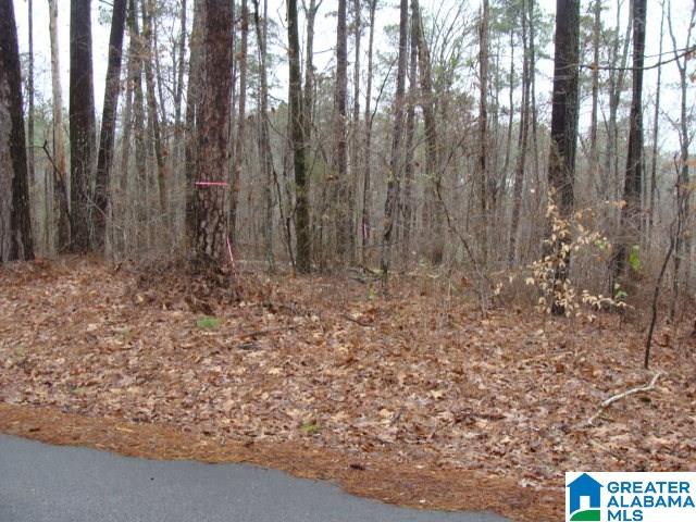 Lot 7 Mountain View Circle, Unit 7 McCalla, AL 35111 - Photo 2 of 3
