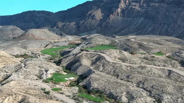 a view of a tree with a yard