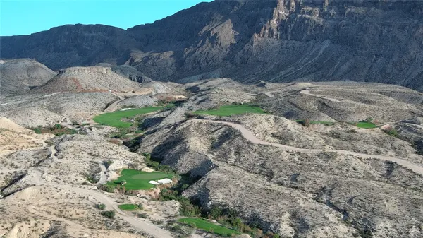 a view of a tree with a yard