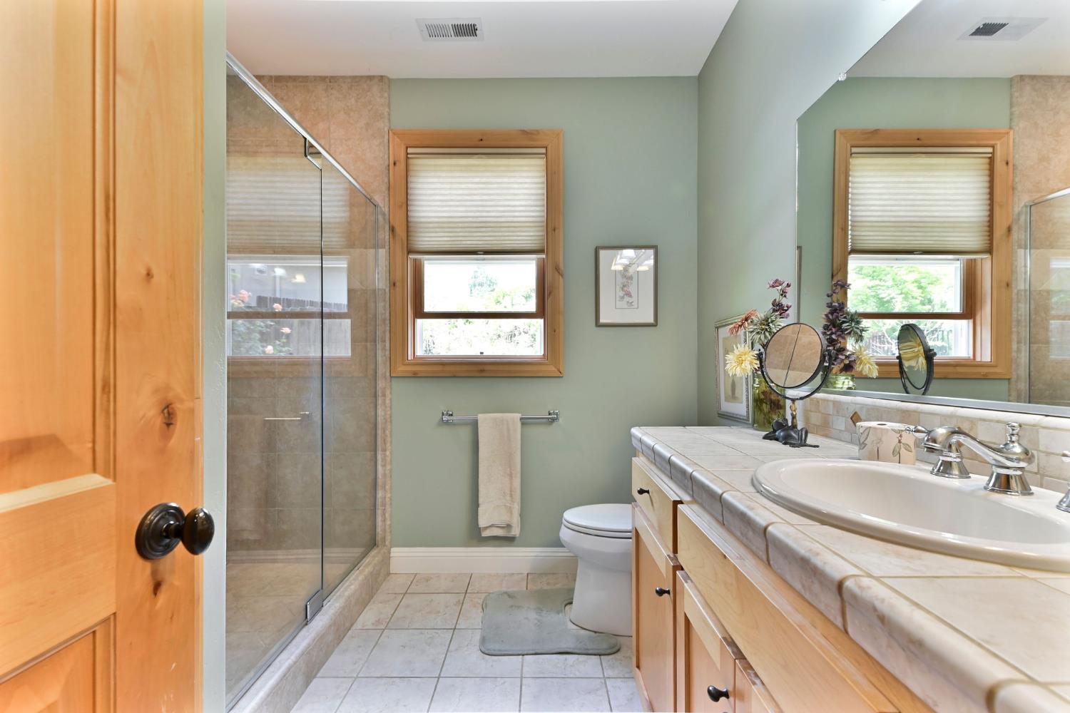 281 Oak Tree Circle Murphys, CA 95247 - Photo 12 of 96 a bathroom with a sink a toilet and shower