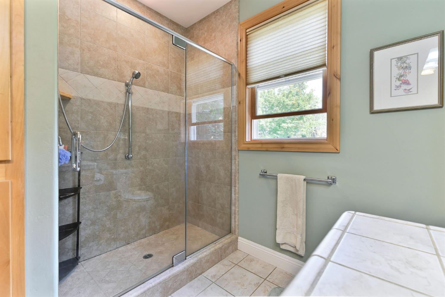 281 Oak Tree Circle Murphys, CA 95247 - Photo 13 of 96