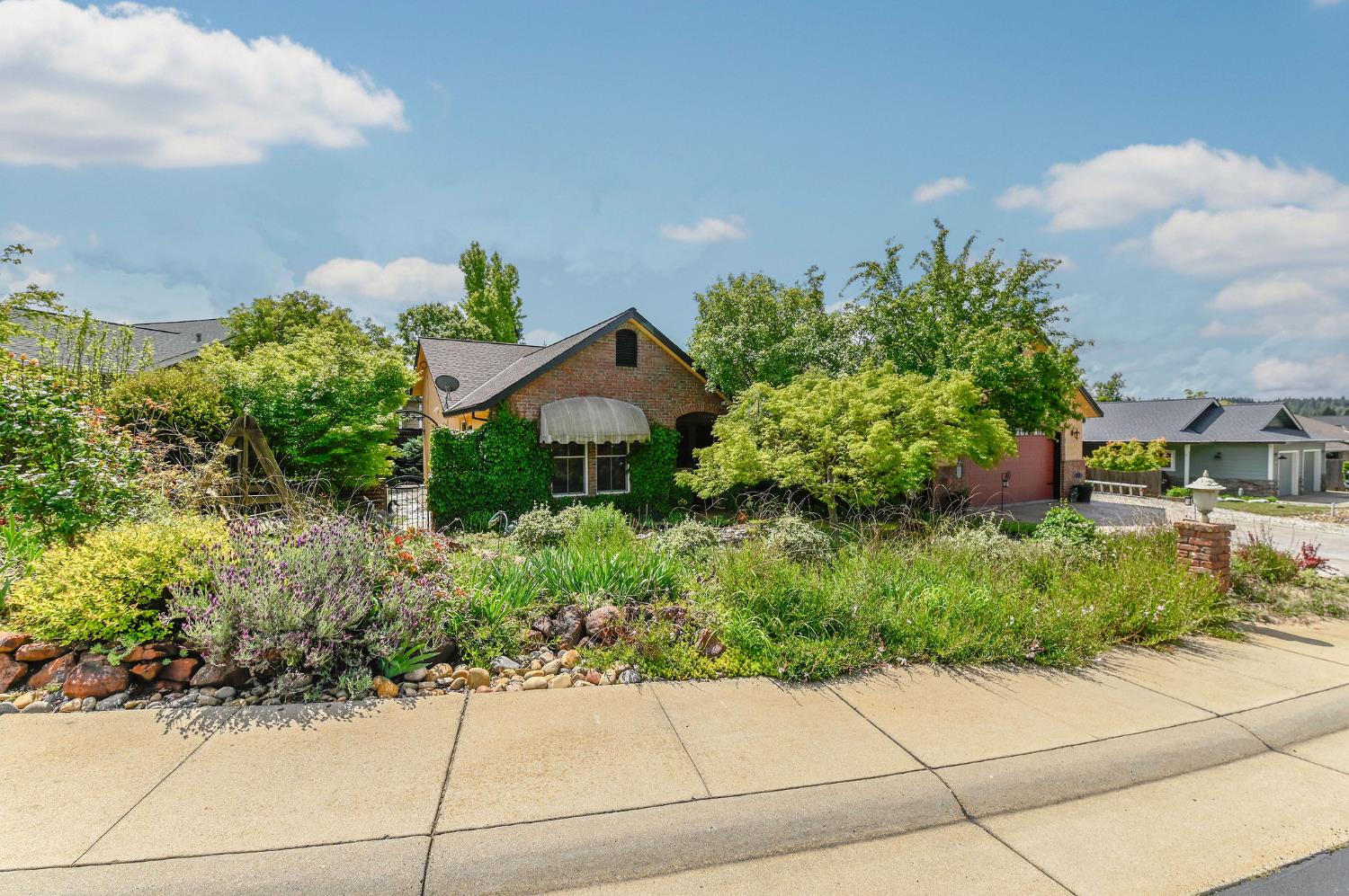 281 Oak Tree Circle Murphys, CA 95247 - Photo 69 of 96 a front view of a house with a yard and potted plants
