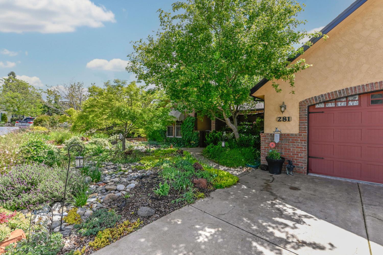 281 Oak Tree Circle Murphys, CA 95247 - Photo 78 of 96 a view of a back yard