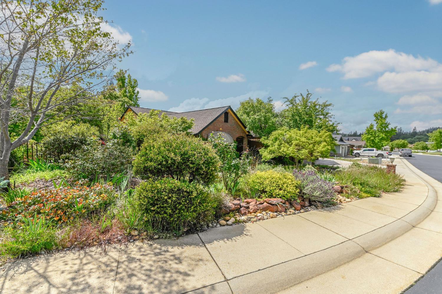 281 Oak Tree Circle Murphys, CA 95247 - Photo 81 of 96 a view of a garden with a pathway