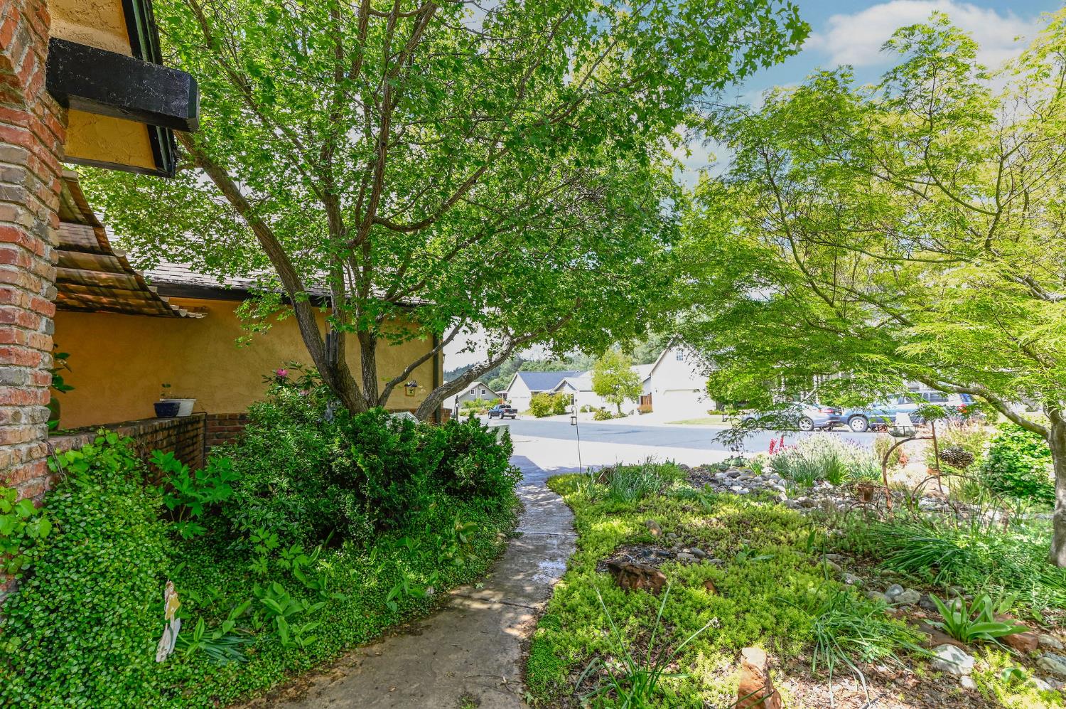 281 Oak Tree Circle Murphys, CA 95247 - Photo 87 of 96 a view of a yard with plants and large trees