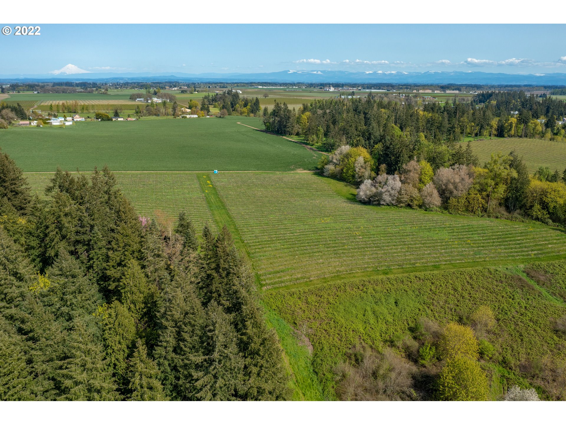 9878 Champoeg Road Northeast Aurora, OR 97002 - Photo 19 of 32 Gallery Image 19