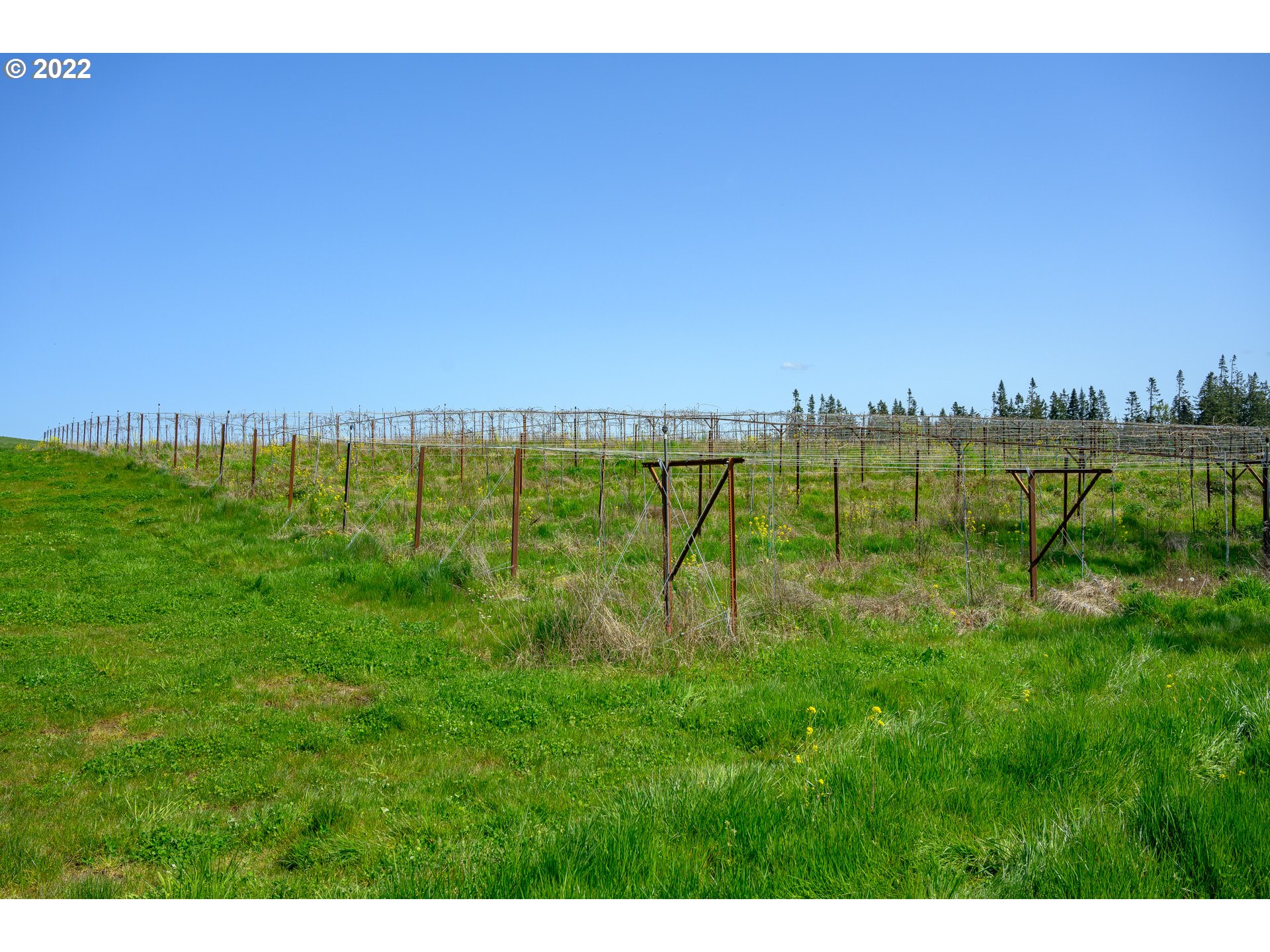 9878 Champoeg Road Northeast Aurora, OR 97002 - Photo 29 of 32 Gallery Image 29