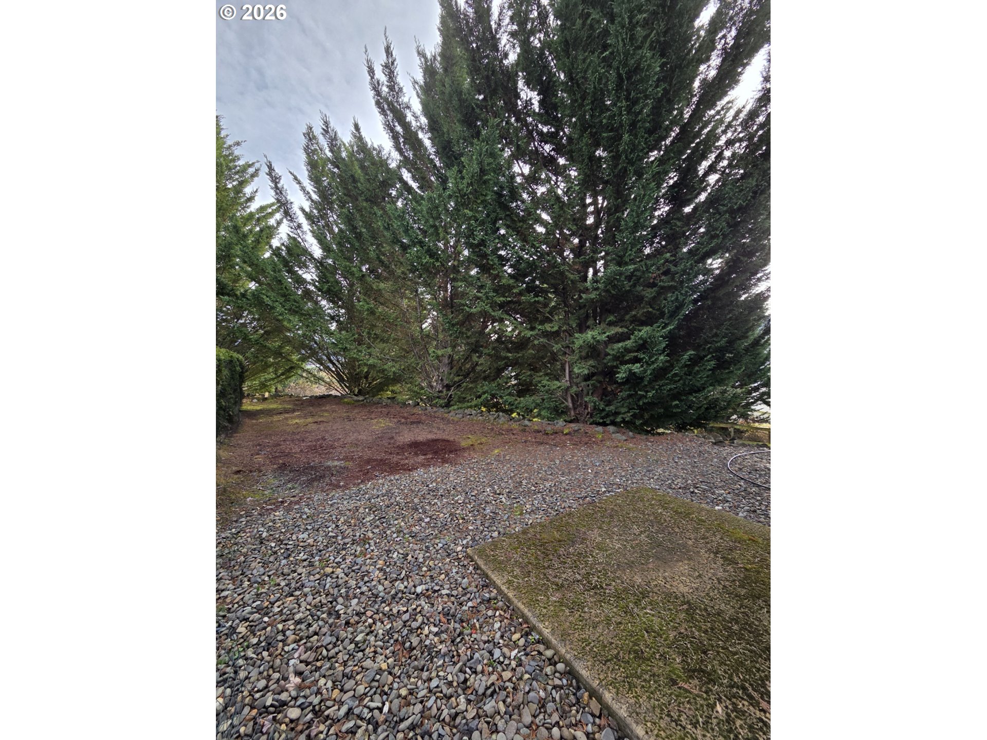 376 Bentgrass Court Sutherlin, OR 97479 - Photo 6 of 17 a view of a yard with plants and trees