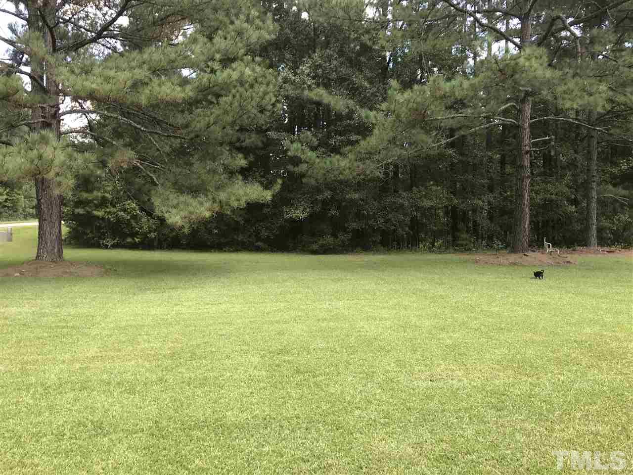 190 Landmark Road Willow Spring, NC 27592 - Photo 23 of 25 a view of outdoor space and yard