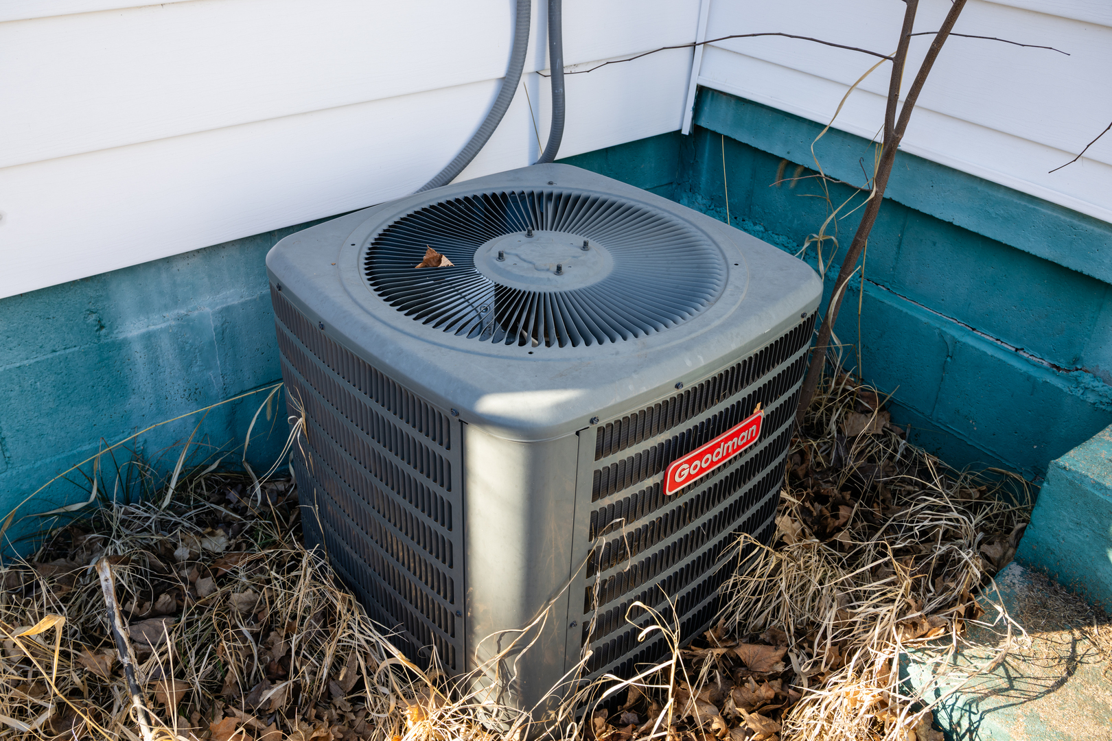 505 East 1st Street Homer, IL 61849 - Photo 6 of 30