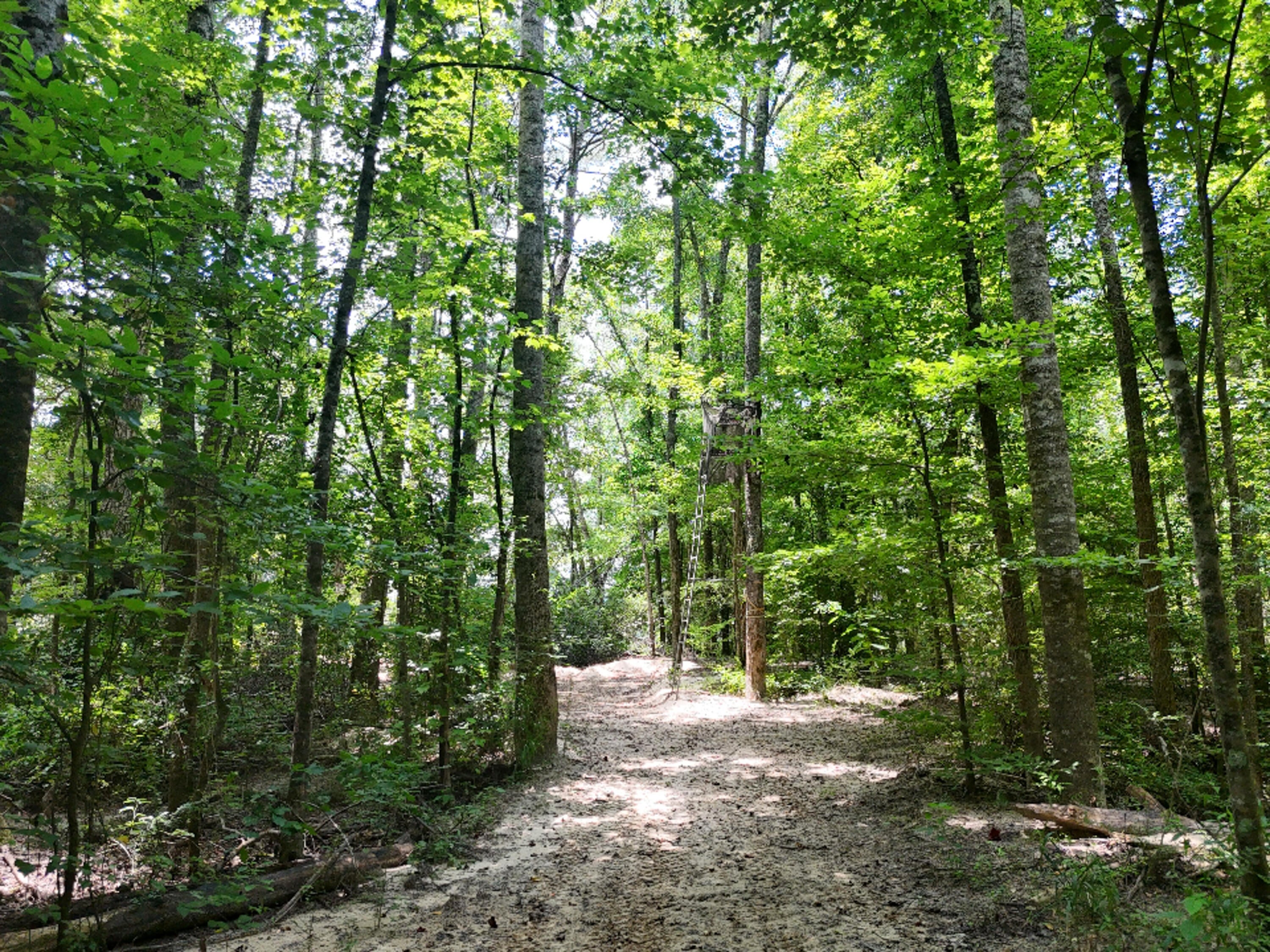 Lot 1 Martin Road Fulton, MS 38843 - Photo 24 of 25 Gallery Image 24