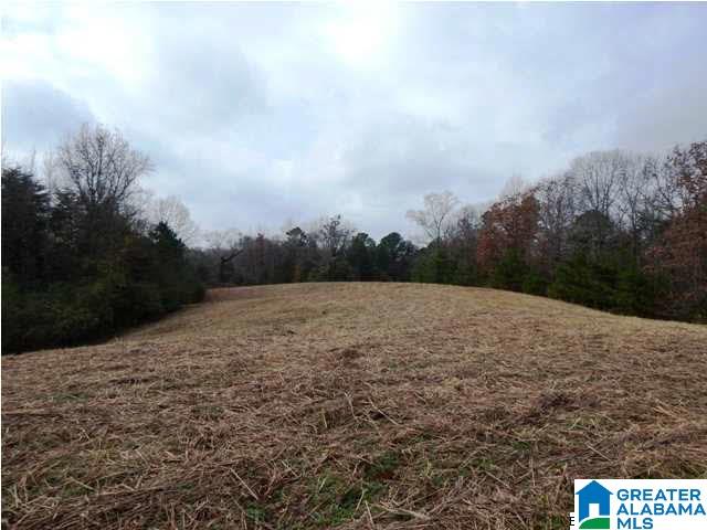 401 Beasley Road Gardendale, AL 35071 - Photo 1 of 15