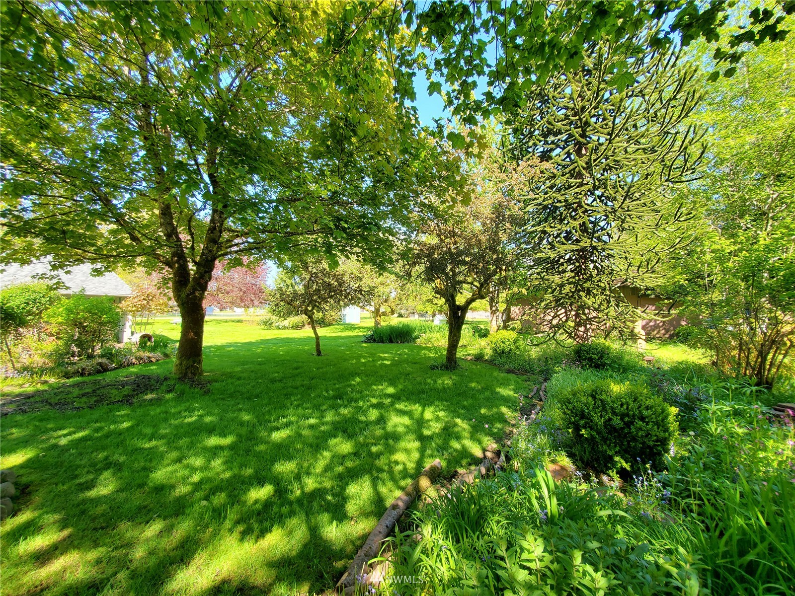 550 F Street Forks, WA 98331 - Photo 26 of 29 Gallery Image 26