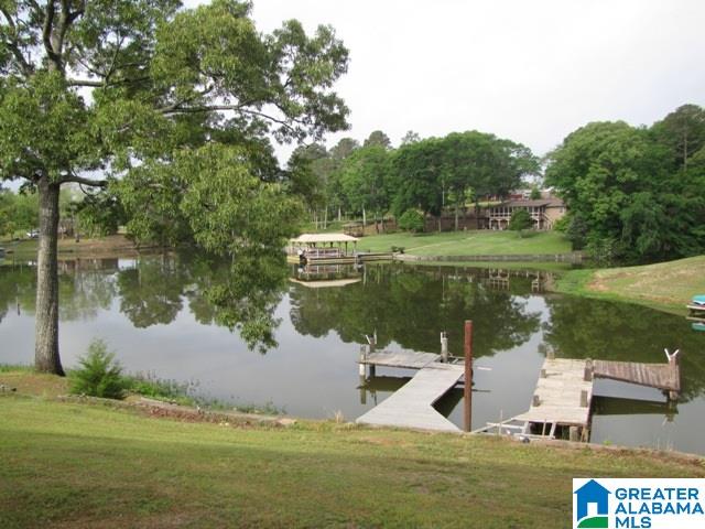 294 Smith Street Riverside, AL 35135 - Photo 2 of 28