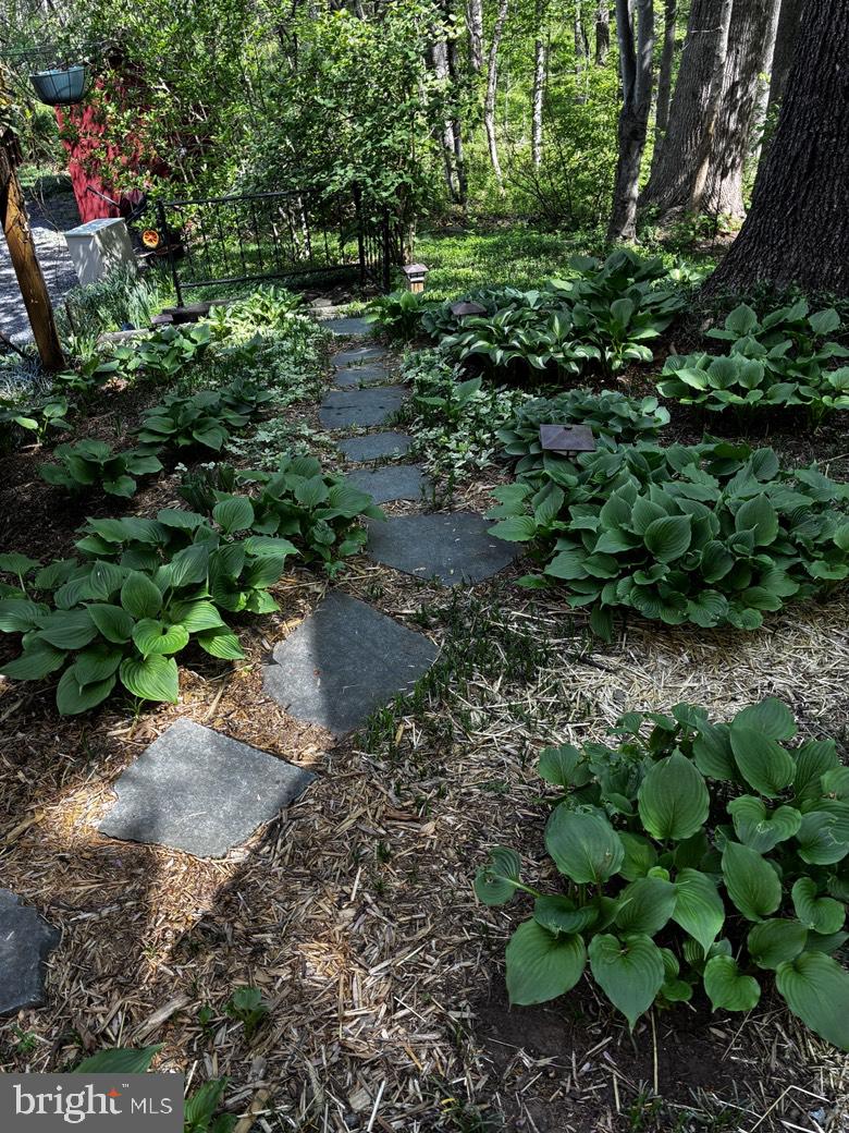 5060 Ridgeview Road Reva, VA 22735 - Photo 3 of 4 Serene garden path through greenery.