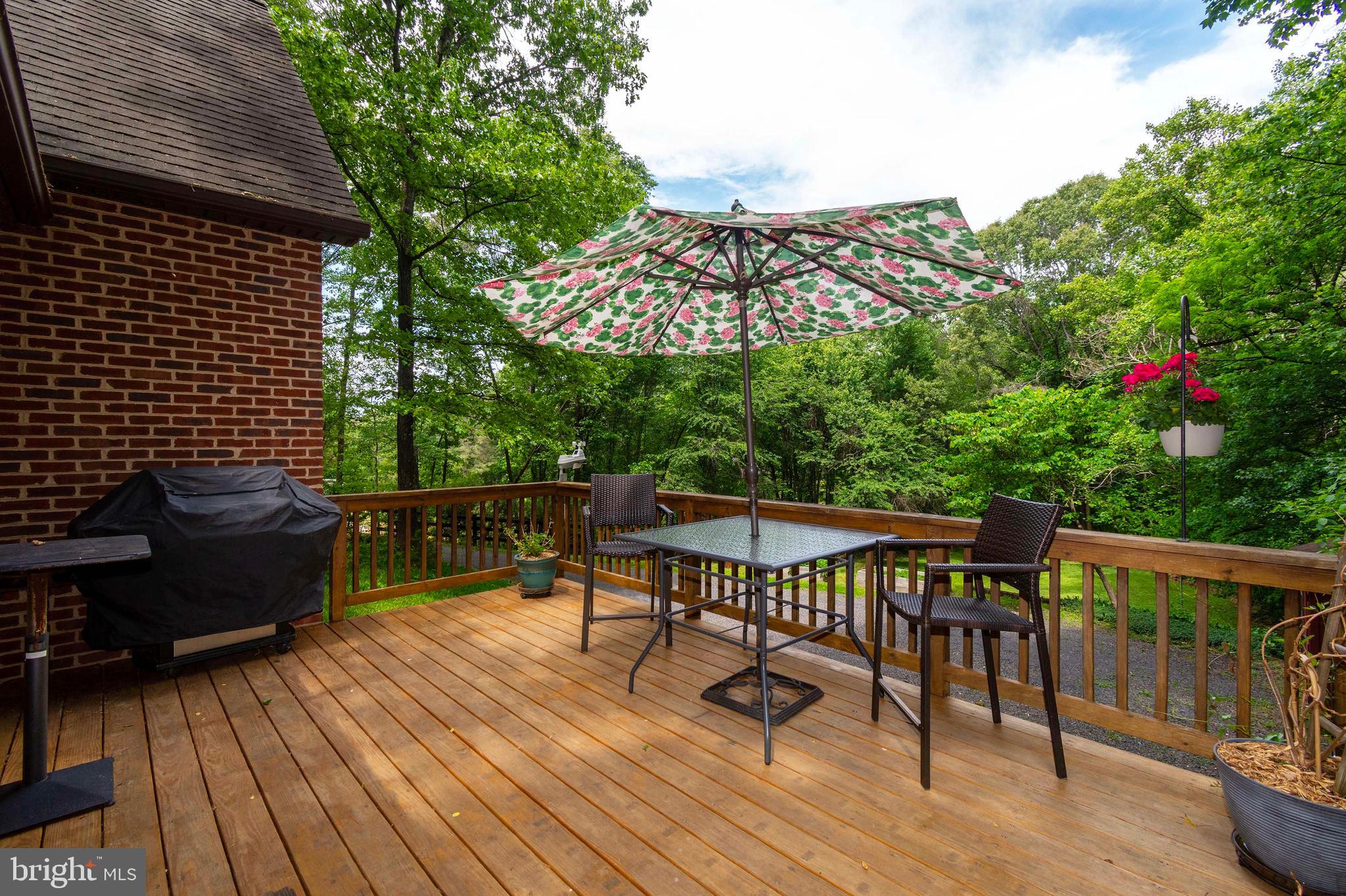 5060 Ridgeview Road Reva, VA 22735 - Photo 8 of 54